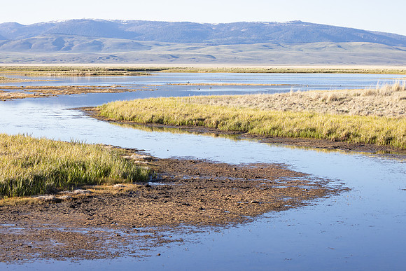 Sparrow Slough and Lobo Mesa