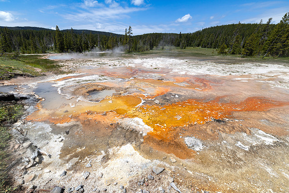 Shoshone Geyser Basin: Thermophiles surrounding SLGGNN004