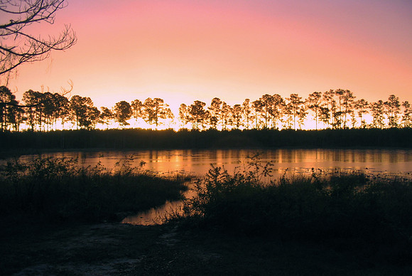 Ocala Pond Sunrise