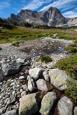 Alpine in Wild Basin (2)