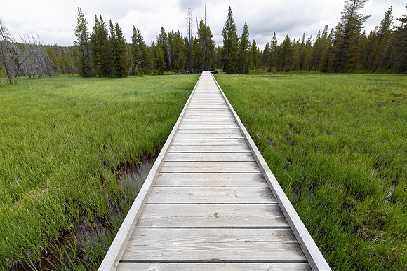 Hiker bridge near OA3