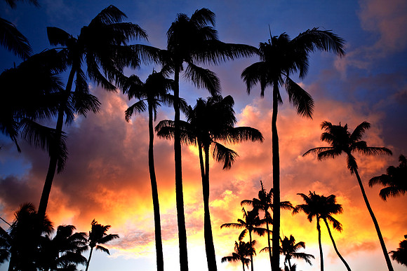 Kauai Sunset