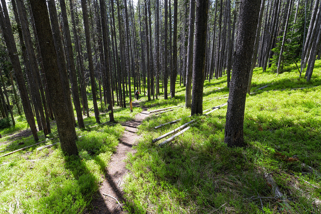 Backpacker along the North Shore Shoshone Lake Trail (4)
