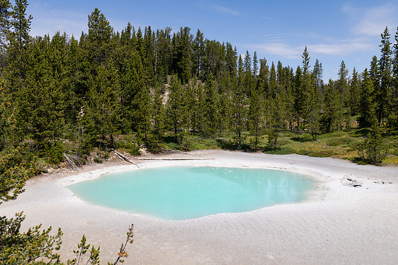 Shoshone Geyser Basin: SSrGNN022 in the Shore Group