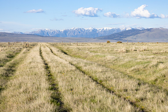 Sparrow Pond Trail and Madison Range