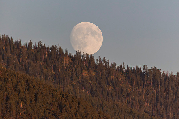 Moonrise over the Mountains